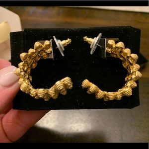 Goldtone Hazelnut Pierced Earrings With Surgical Steel Posts